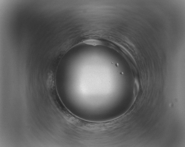 X0000073420029200607281204