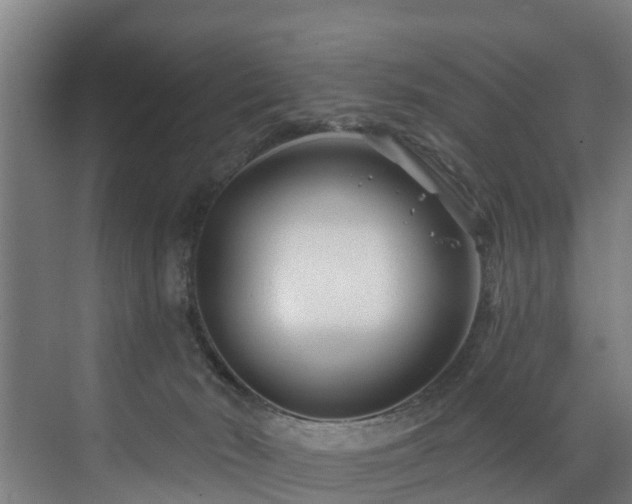 X0000073420030200607281204