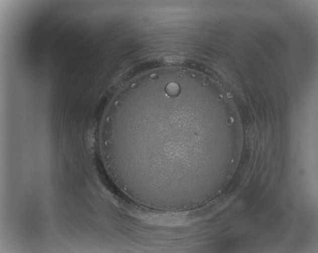 X0000073420032200607281204