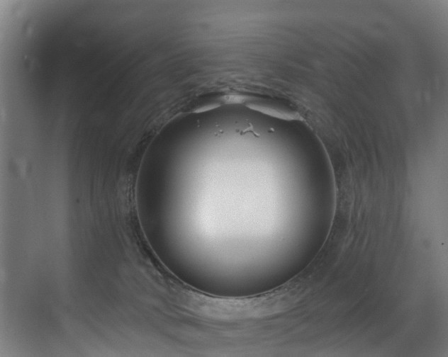 X0000073420034200607281204