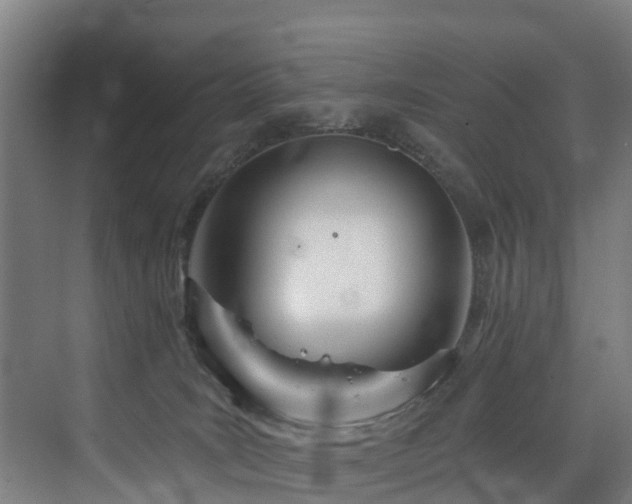 X0000073420035200607281204