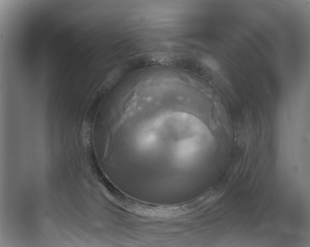 X0000073420036200607281204