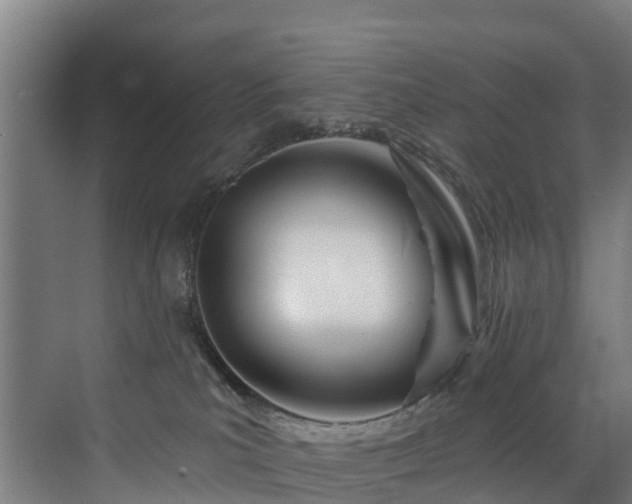 X0000073420039200607281204