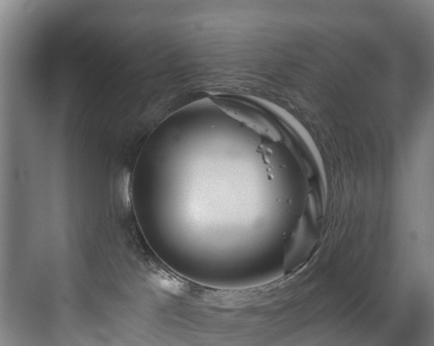 X0000073420041200607281204