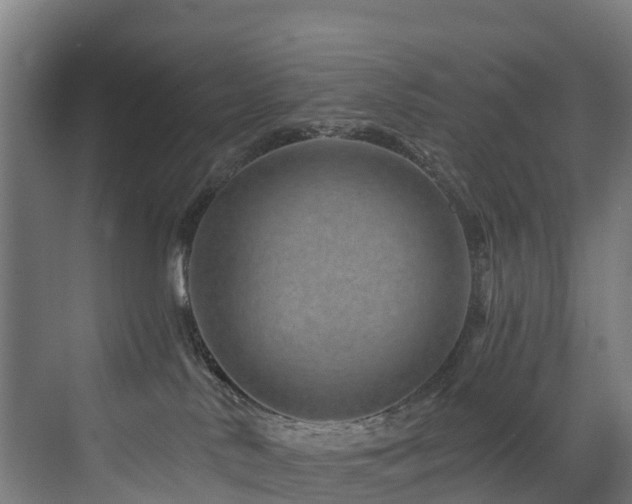 X0000073420042200607281204