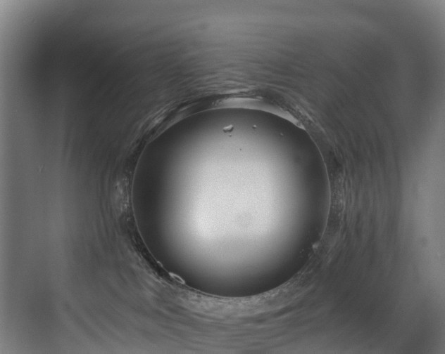 X0000073420043200607281204