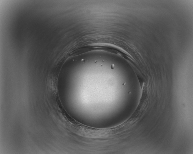 X0000073420044200607281204