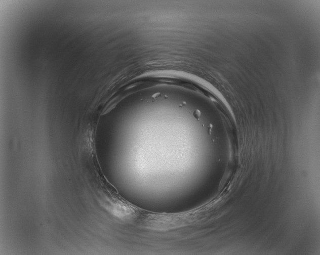 X0000073420045200607281204