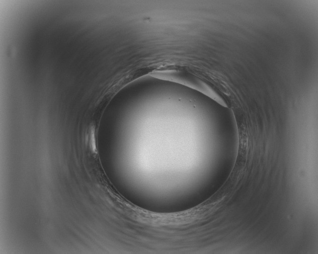 X0000073420046200607281204