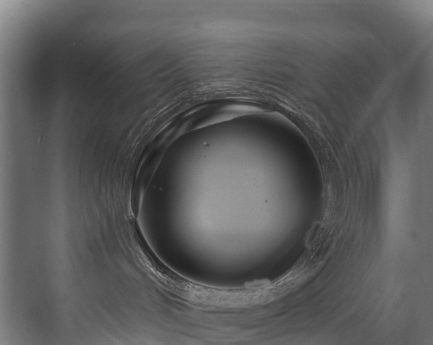 X0000073420048200607281204