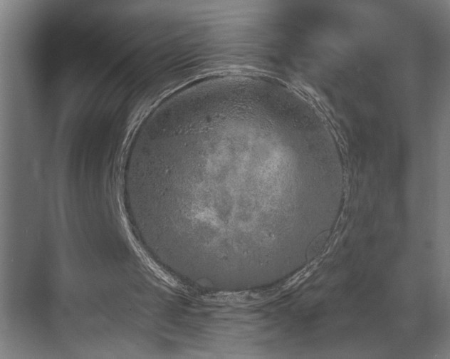 X0000073420049200607281203