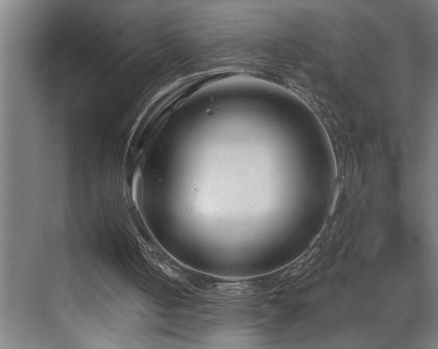 X0000073420050200607281203