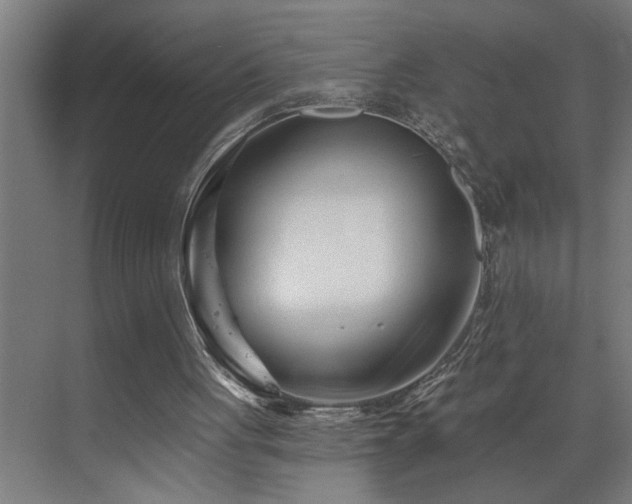 X0000073420051200607281203