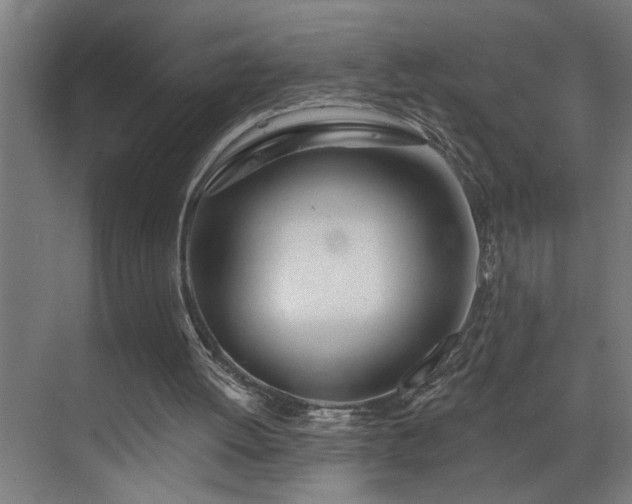 X0000073420052200607281203