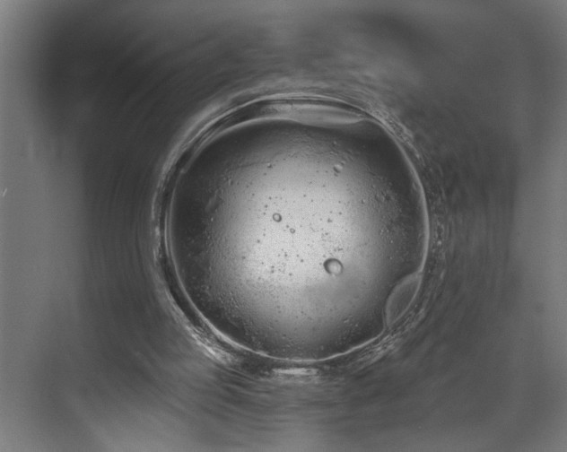 X0000073420053200607281203