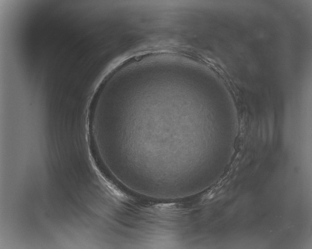 X0000073420054200607281203