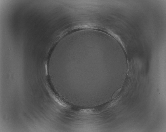 X0000073420061200607281203