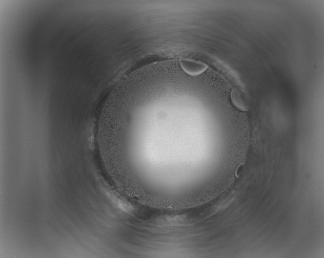 X0000073420065200607281203