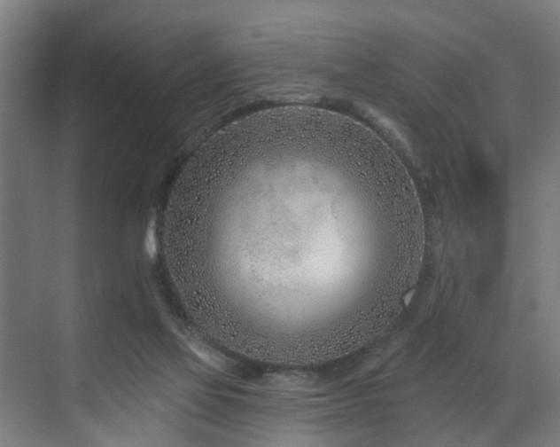 X0000073420069200607281203