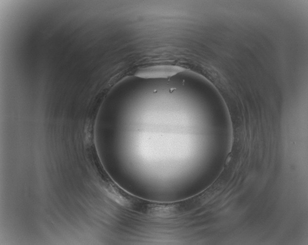 X0000073420081200607281203