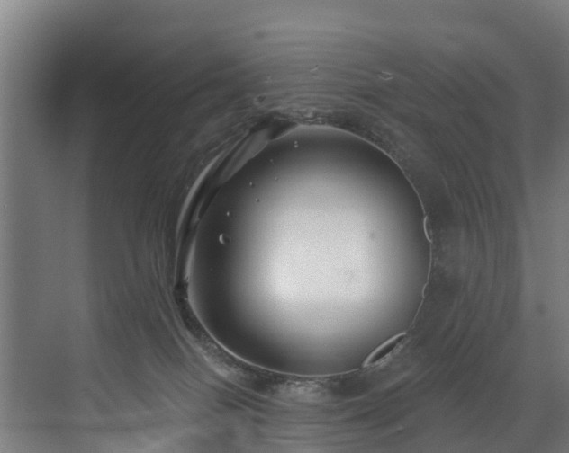 X0000073420086200607281203