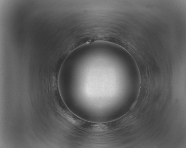 X0000073420087200607281203