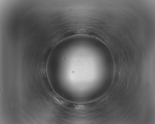 X0000073420091200607281203