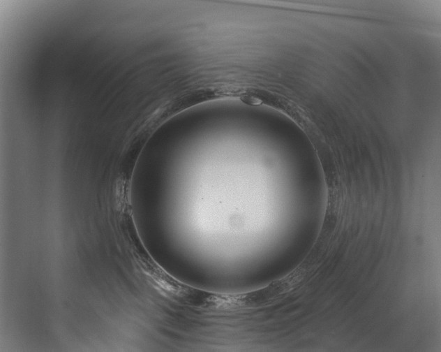 X0000073420093200607281204