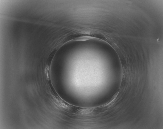 X0000073420094200607281204