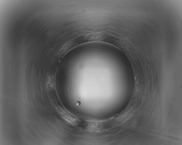 X0000073420096200607281204