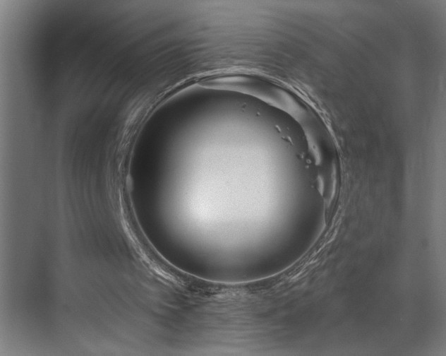 X0000073420097200607281203