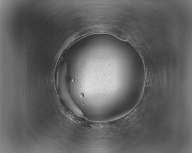 X0000073420099200607281203