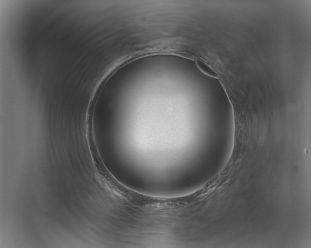 X0000073420100200607281203