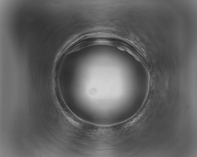 X0000073420101200607281203