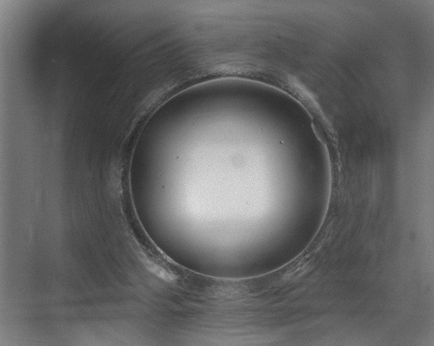 X0000073420106200607281203