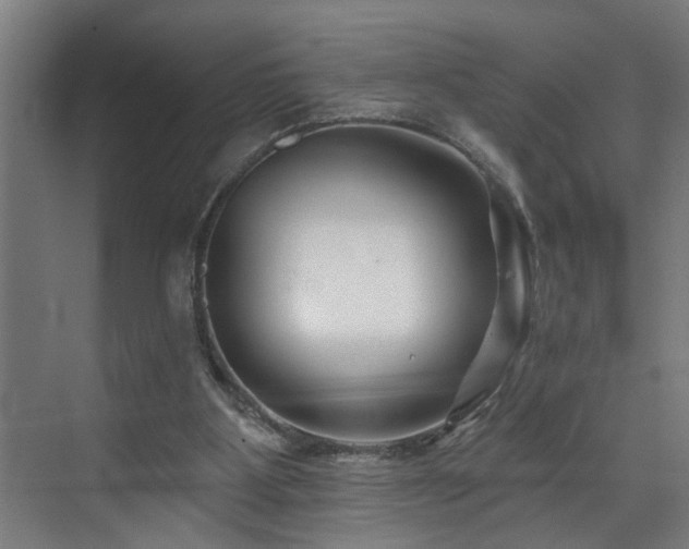 X0000073420107200607281203