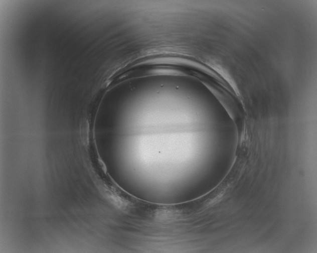 X0000073420109200607281203