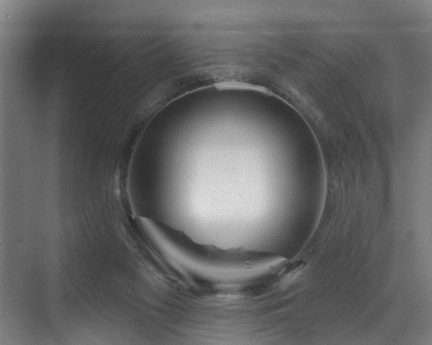 X0000073420117200607281202