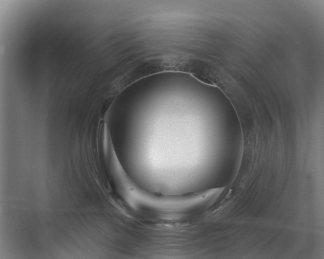 X0000073420137200607281202