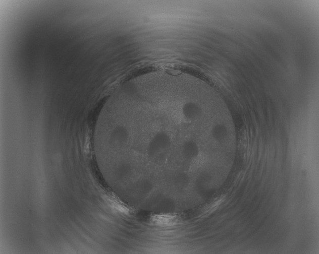 X0000073420139200607281202