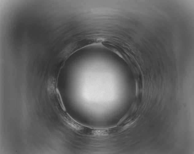 X0000073420141200607281202