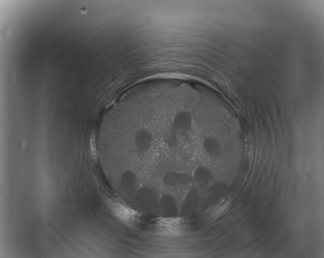 X0000073420143200607281202