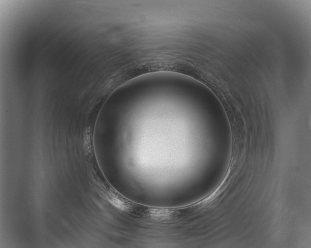 X0000073420144200607281202