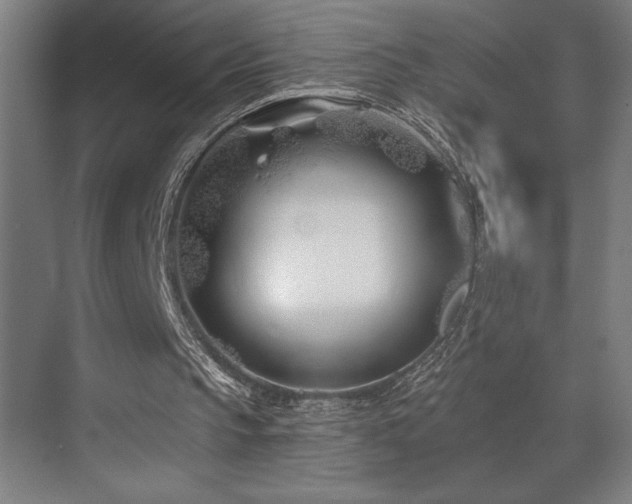 X0000073420145200607281201