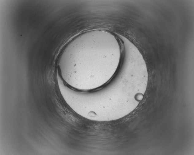 X0000073420146200607281201