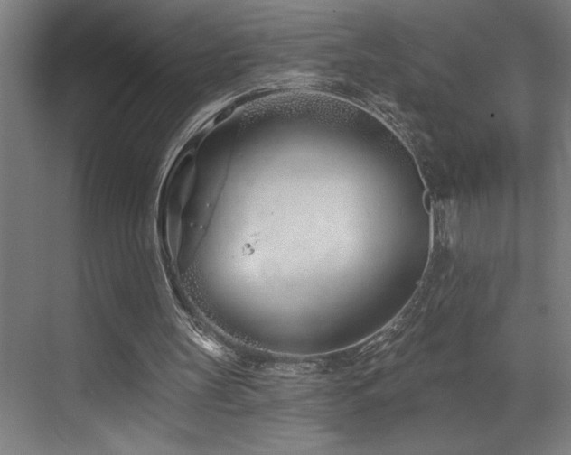 X0000073420147200607281201