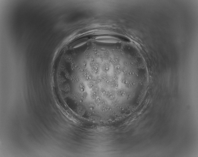 X0000073420149200607281201