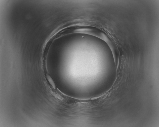 X0000073420150200607281201