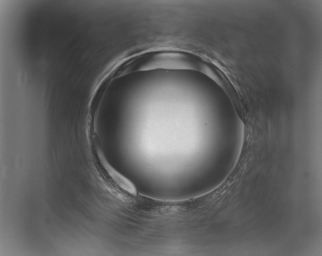 X0000073420152200607281201