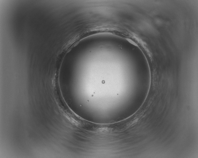 X0000073420153200607281201